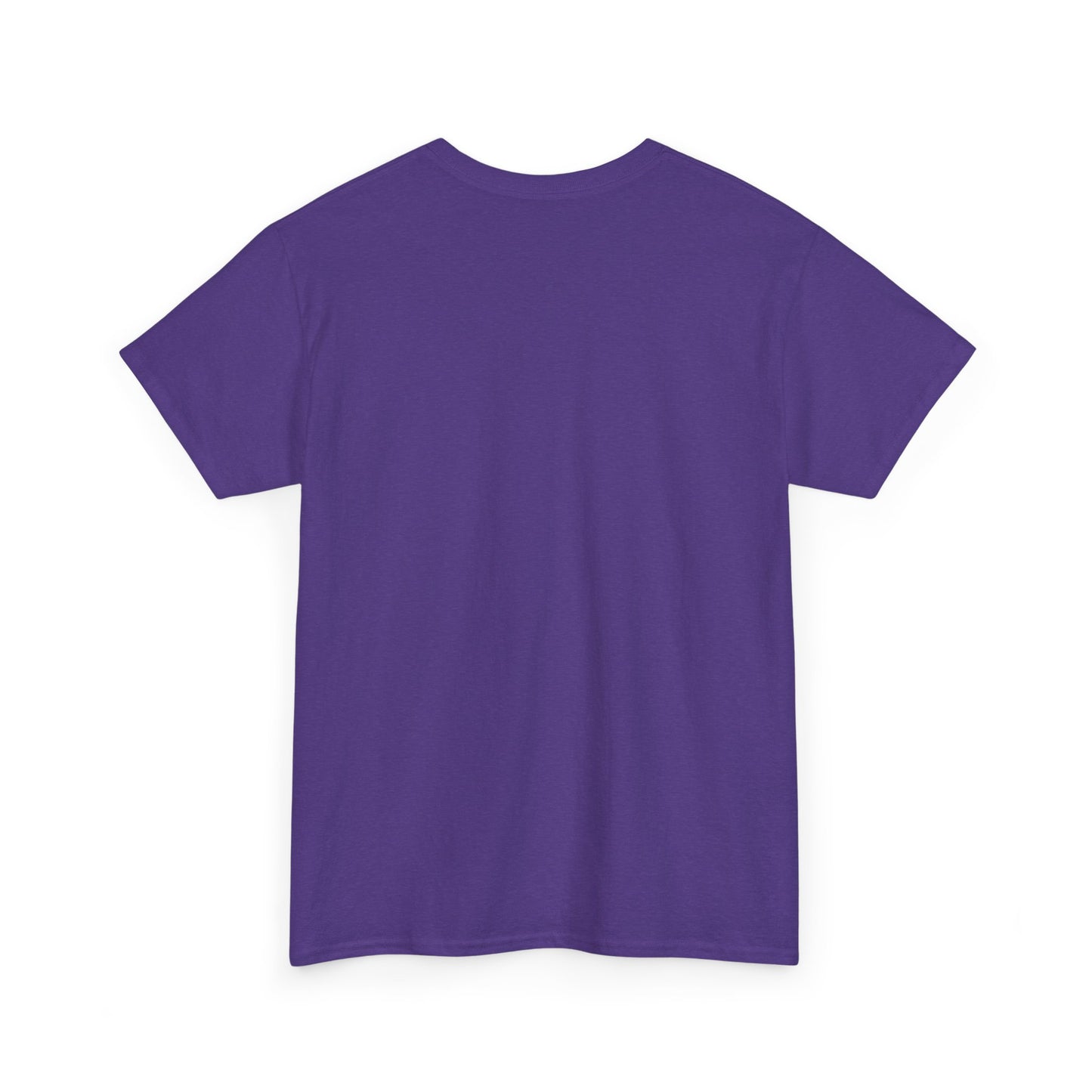 "Nathan's Affair Ruined my DND Group" Unisex T Shirt