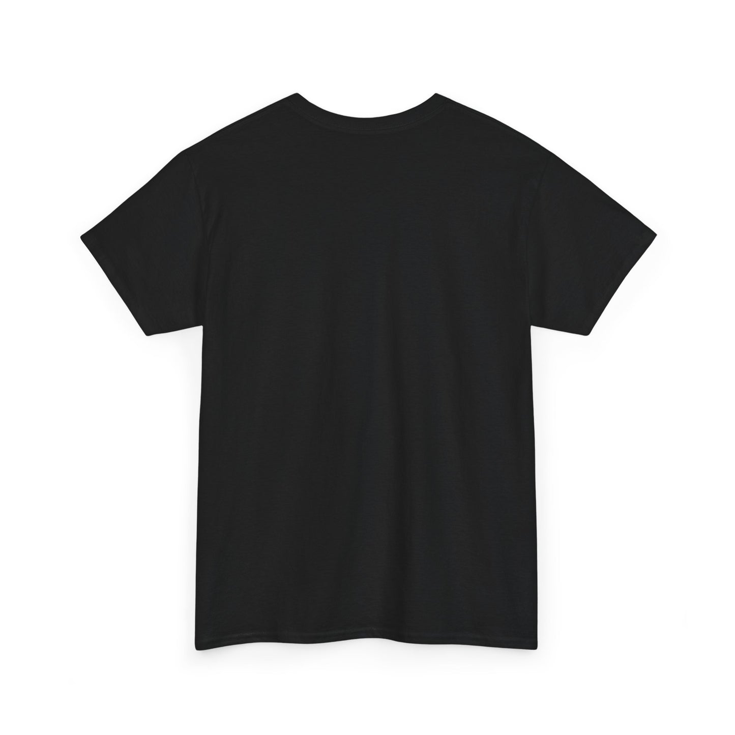 "Nathan's Affair Ruined my DND Group" Unisex T Shirt