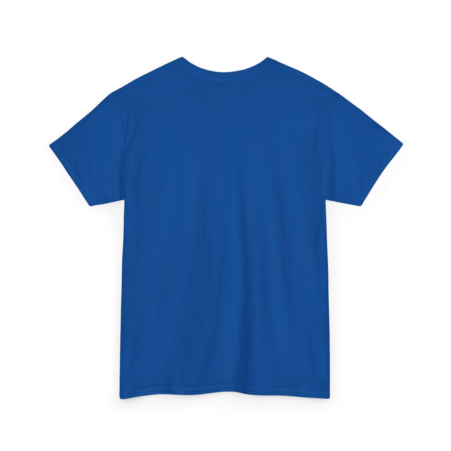 "Nathan's Affair Ruined my DND Group" Unisex T Shirt
